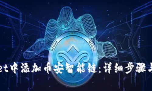 如何在TPWallet中添加币安智能链：详细步骤与常见问题解答