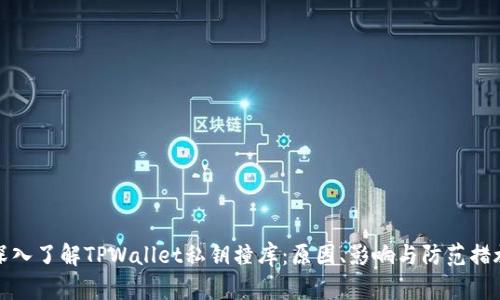 深入了解TPWallet私钥撞库：原因、影响与防范措施