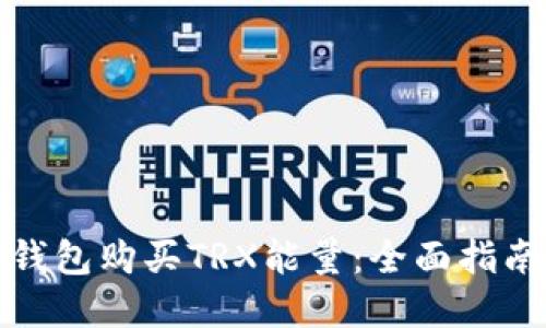 如何通过冷钱包购买TRX能量：全面指南与实用技巧