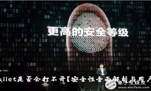 TPWallet是否会打不开？安全性全面解析与用户指南