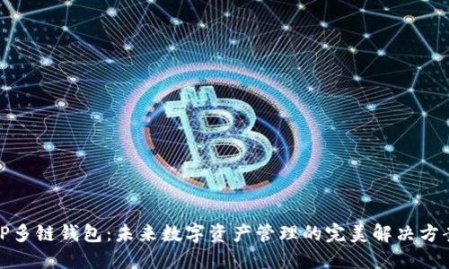 TP多链钱包：未来数字资产管理的完美解决方案