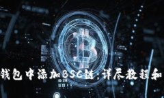 如何在Token钱包中添加BSC链：详尽教程和常见问题