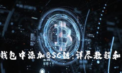 如何在Token钱包中添加BSC链：详尽教程和常见问题解答