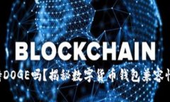 TRX钱包支持DOGE吗？揭秘数字货币钱包兼容性及使