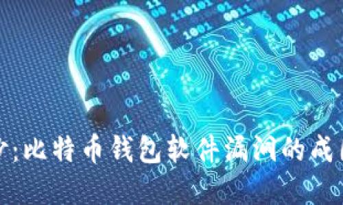 揭开神秘面纱：比特币钱包软件漏洞的成因与解决方案