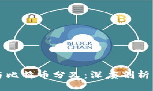 库神钱包与比特币分叉：深度剖析与实用指南