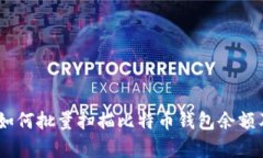全面解析：如何批量扫描比特币钱包余额及其重