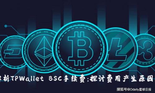 深入解析TPWallet BSC手续费：探讨费用产生原因及方案