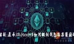 深度解析：屎币（Shitcoin）如何提到钱包及其背后