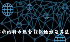 全面解析比特币现金钱包地址及其使用指南