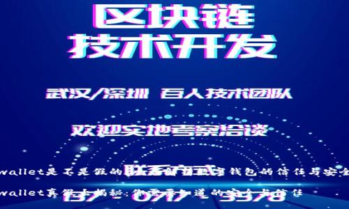 tpwallet是不是假的？全面解析数字钱包的信任与安全性

tpwallet真假大揭秘：你需要知道的安全与信任
