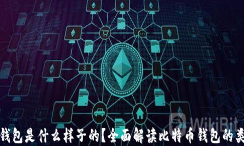 
最好的比特币钱包是什么样子的？全面解读比特币钱包的类型与选择标准