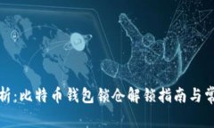 全面解析：比特币钱包锁仓解锁指南与常见问题