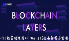 TRC-20能否转账到TP Wallet？全面解析与实用指南