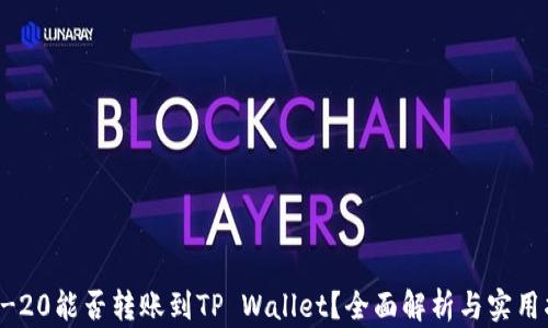 
TRC-20能否转账到TP Wallet？全面解析与实用指南