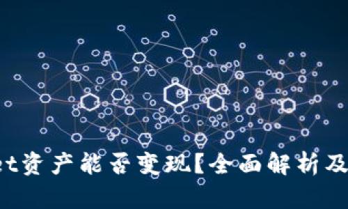  TPWallet资产能否变现？全面解析及风险讨论