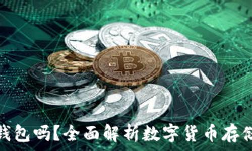   
比特币应该放进钱包吗？全面解析数字货币存储的安全性与风险