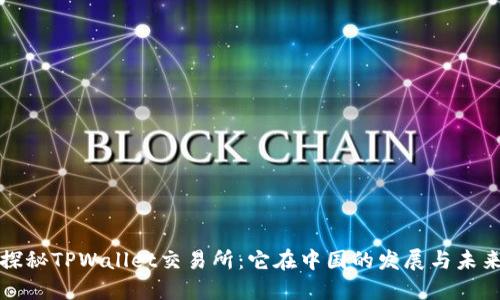 探秘TPWallet交易所：它在中国的发展与未来