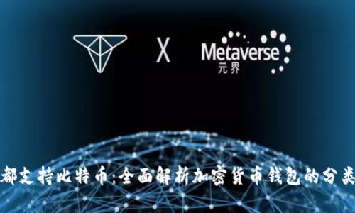 所有钱包都支持比特币：全面解析加密货币钱包的分类与兼容性