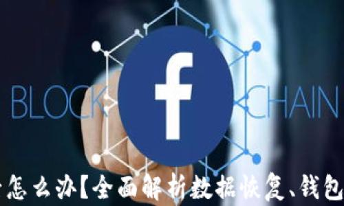 
TPWallet删除后怎么办？全面解析数据恢复、钱包安全与使用技巧